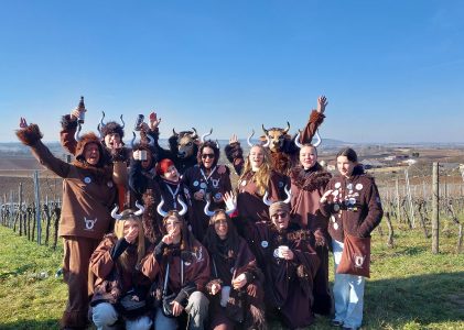 Faschingsumzug Talheim