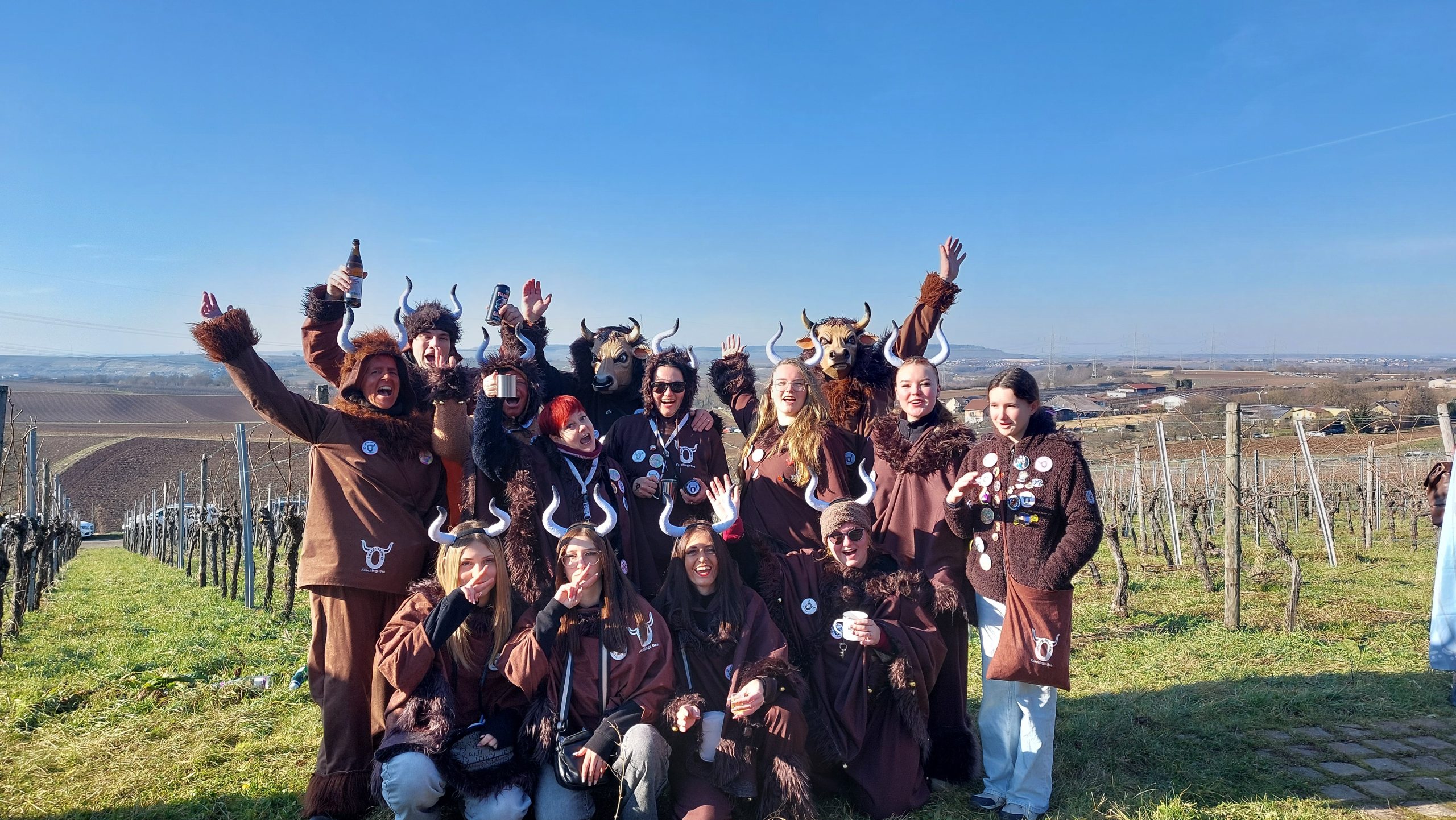 Faschingsumzug Talheim