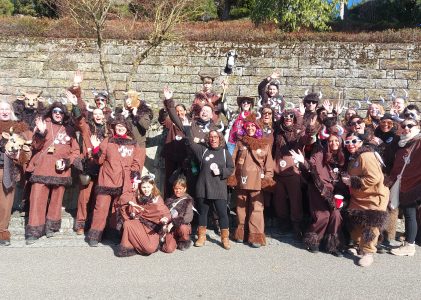 Faschingsumzug Erlenbach-Binswangen