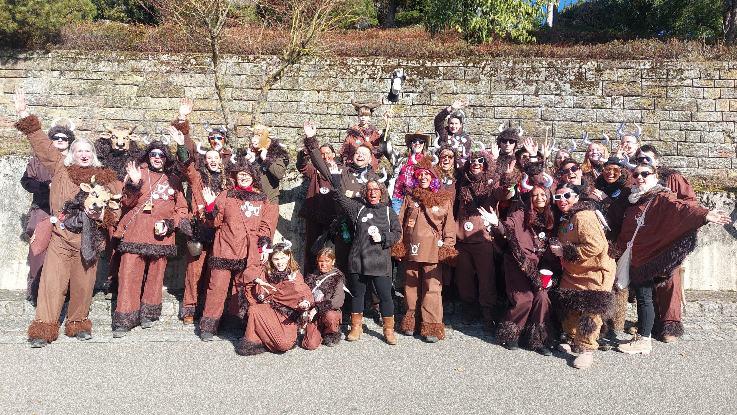 Faschingsumzug Erlenbach-Binswangen