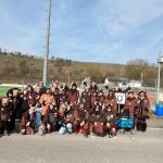 Faschingsumzug in Gochsen